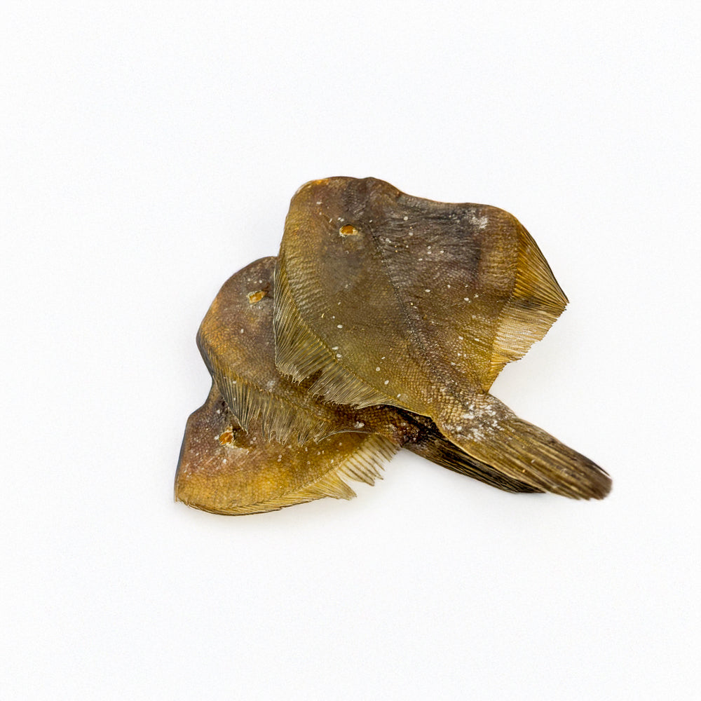 Scholle gedörrt (100g)