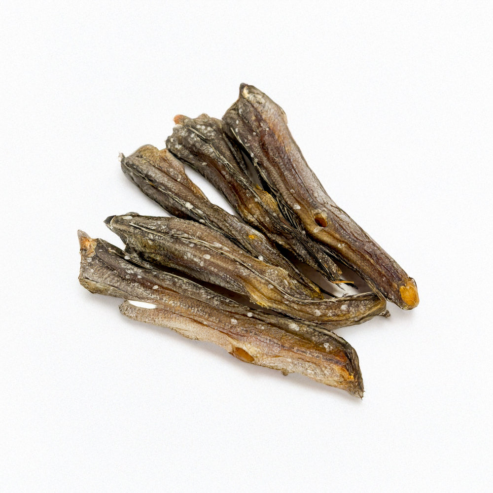 Seehecht gedörrt (100g)