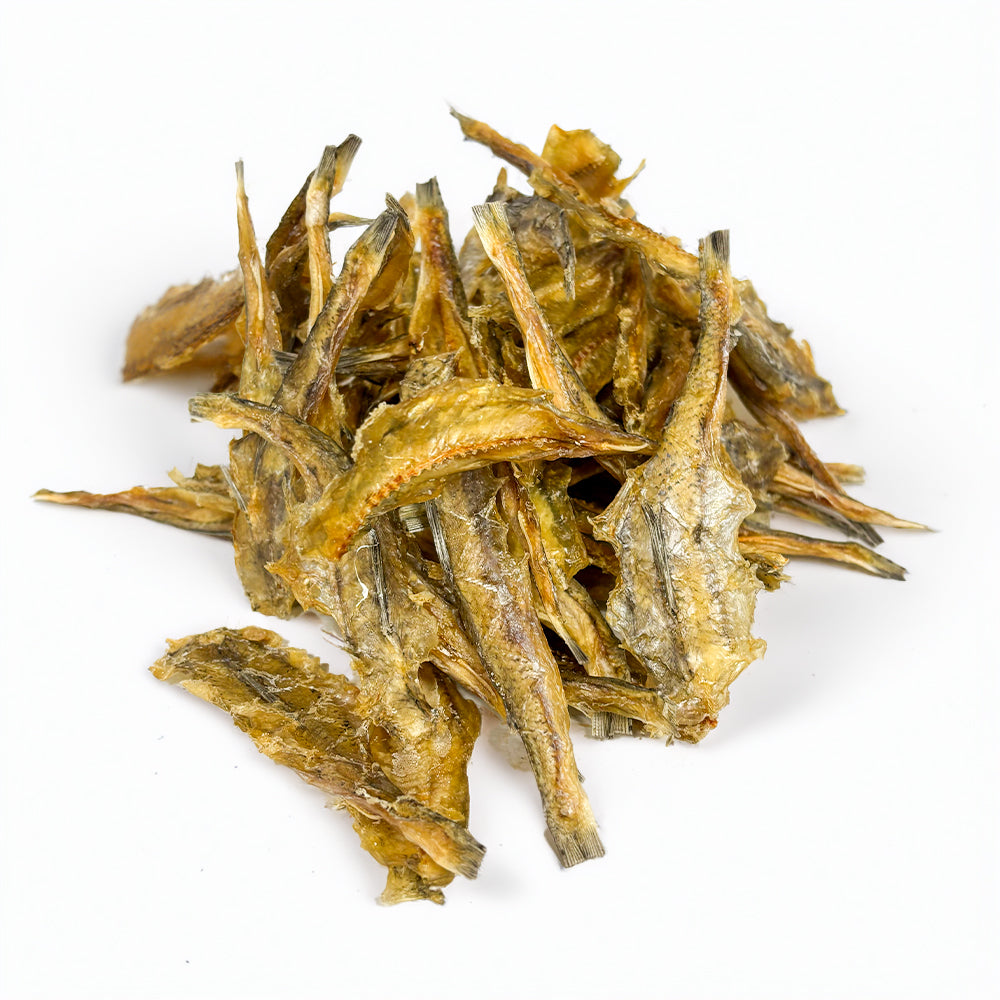 Eidechsenfisch getrocknet (100g)