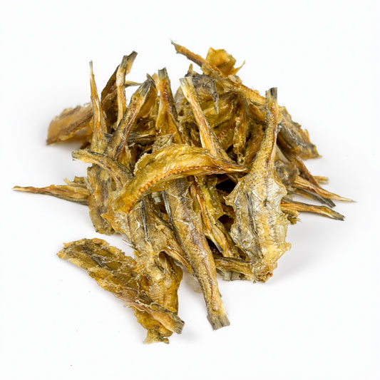 Eidechsenfisch getrocknet (100g)