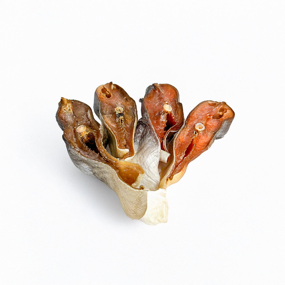 Lachs-Steak gedörrt (200g)