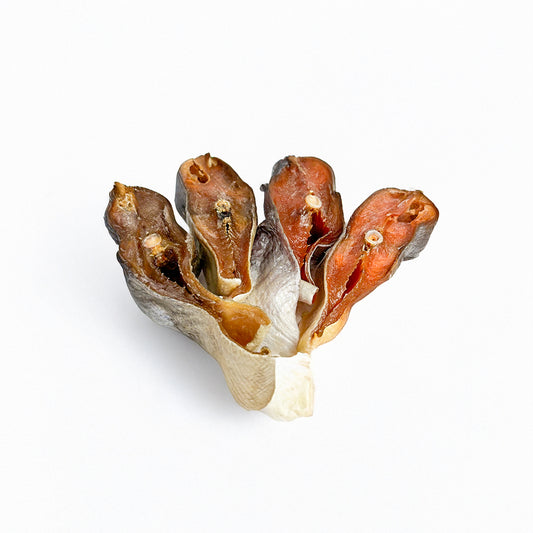 Lachs-Steak gedörrt (200g)
