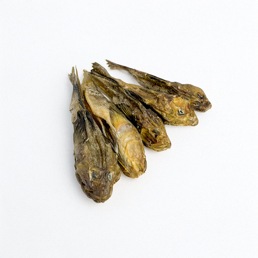 Schwarzmund-Grundel getrocknet (100g)